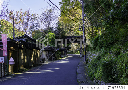 奈良縣吉野郡吉野町吉野金mine山治黑門 71978864