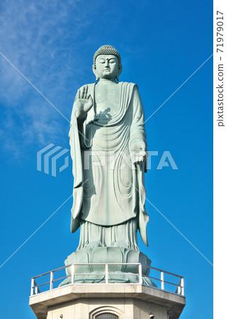 [龍oh寺長濱琵琶湖大佛]滋賀縣長濱市下坂濱市 71979017