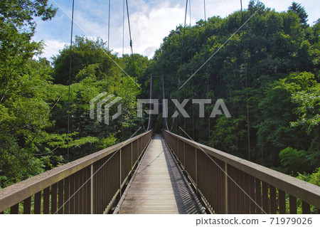 [町田市]大山田隆口的懸索橋 71979026