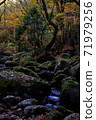 Kikuchi Valley in autumn 71979256