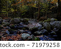 Kikuchi Valley in autumn 71979258