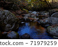 Kikuchi Valley in autumn 71979259