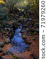 Kikuchi Valley in autumn 71979260