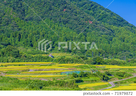 Kyoto Sodeshi Rice Terraces Kyoto Sodeshi Rice Terraces 71979872