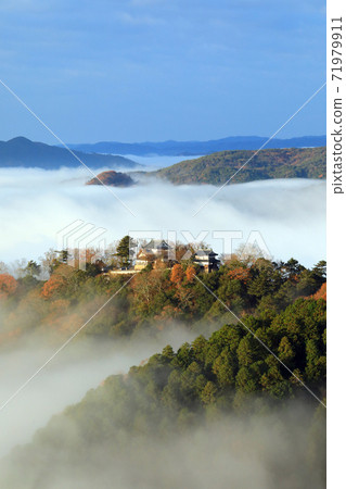 Yamashiro in the sky 5801 71979911