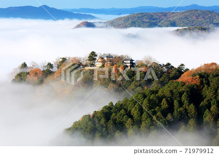 Yamashiro in the sky 5803 71979912