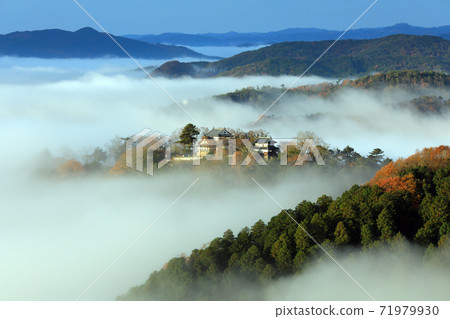 天空中的山城5851 71979930