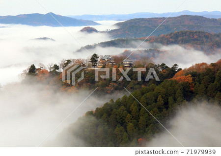 山城在天空5888 71979939