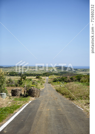 A straight road on Kikaijima, the blue sky and the sea A straight road on Kikaijima, the blue sky and the sea 71980232