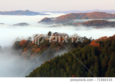 山城在天空5541 山城在天空5541 71980316