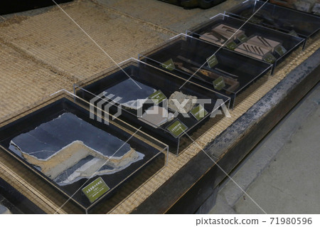 枚方市枚方博物館 71980596