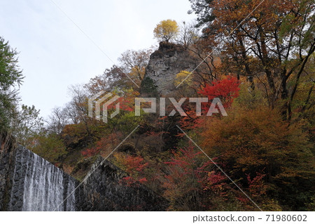 Autumn leaves in Gunma, Japan Autumn leaves in Gunma, Japan 71980602