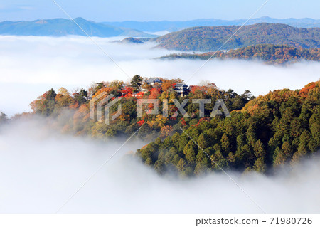 山城在天空4737 71980726