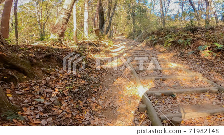 山間小徑行走圖像素材 71982148