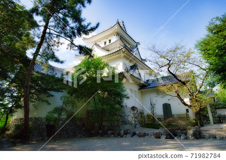 Ogaki Castle in Gifu Prefecture Ogaki Castle in Gifu Prefecture 71982784