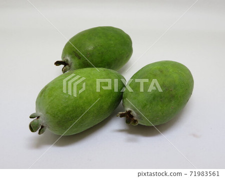 Feijoa Feijoa 71983561