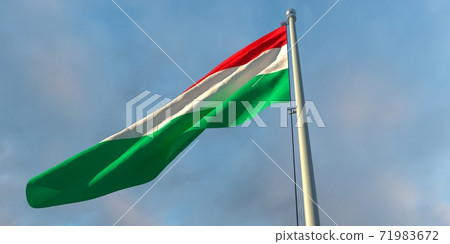 3d rendering of the national flag of the Hungary 3d rendering of the national flag of the Hungary 71983672