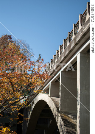 Autumn Hikawa Bridge 71984898