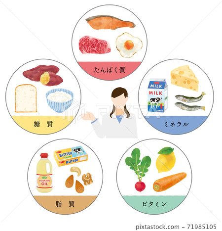 五種主要營養素和營養學家的時尚矢量插圖 五種主要營養素和營養學家的時尚矢量插圖 71985105