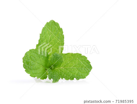 Mint leaves isolated on white background. Mint leaves isolated on white background. 71985395