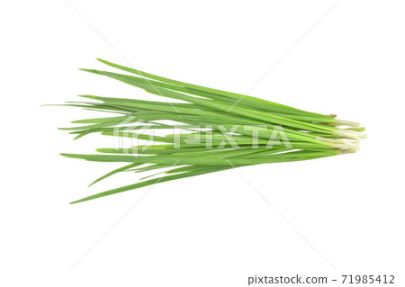 Top view of Garlic chives isolated on white background 71985412
