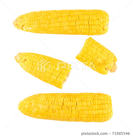 corn isolated on white background 71985546