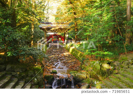 Tamabashi, Yahiko Shrine, Yahiko Village, Niigata Prefecture, Japan Tamabashi, Yahiko Shrine, Yahiko Village, Niigata Prefecture, Japan 71985651