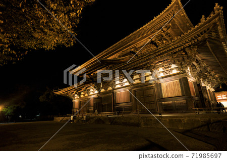 Toji lit up at night 71985697