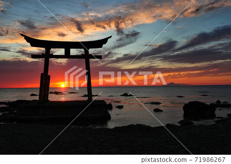 Kompira Shrine: Oath of the setting sun 71986267