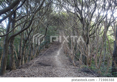 View of Otakadaiyama in Ako City, Hyogo Prefecture, Japan 71986388