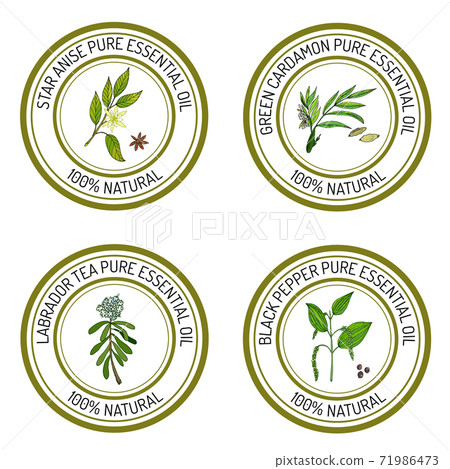 Set of essential oil labels star anise, green cardamon, labrado Set of essential oil labels star anise, green cardamon, labrado 71986473