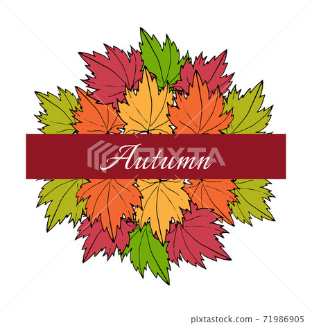 Autumn maple leaves 71986905