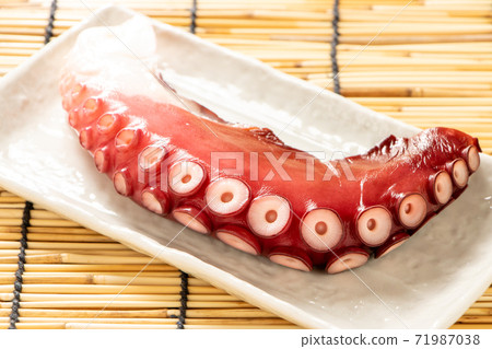 Octopus. Background, blinds. 71987038