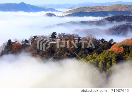 Yamashiro in the sky 6238 Yamashiro in the sky 6238 71987643