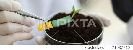 Laboratory assistant holding tongs for litmus paper 71987740