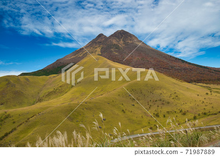 秋天的葉子Yufudake 秋天的葉子Yufudake 71987889