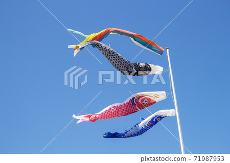 鯉魚stream在蔚藍的天空鯉魚stream在蔚藍的天空 鯉魚stream在蔚藍的天空鯉魚stream在蔚藍的天空 71987953