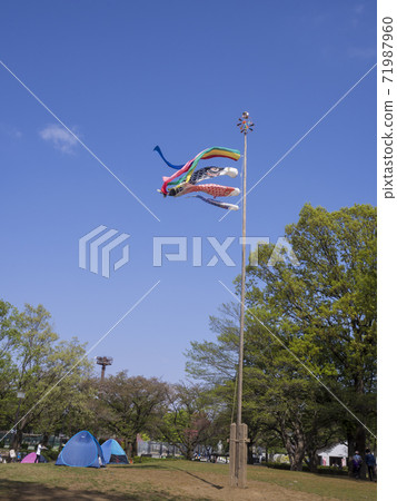 Carp streamer in the blue sky Carp streamer swimming in the sky 71987960