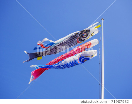 Carp streamer in the blue sky Carp streamer swimming in the sky Carp streamer in the blue sky Carp streamer swimming in the sky 71987982