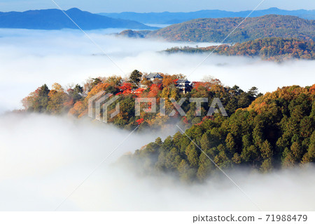山城在天空4776 山城在天空4776 71988479
