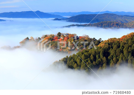 山城在天空4796 山城在天空4796 71988480