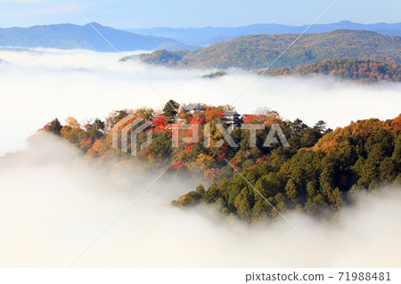 山城在空中4875- 山城在空中4875- 71988481