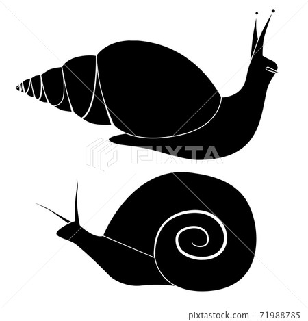 Set of black silhouette snails of various shapes. Objects are separate from the background. Simple cartoon vector image 71988785