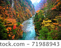 秋葉在Kurobe峽谷 71988943