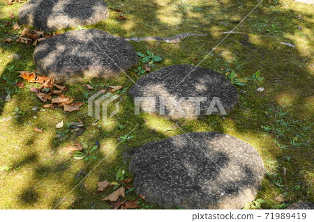 Stepping stones Stepping stones 71989419