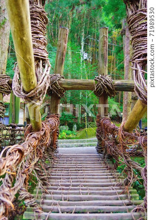 Kazura Bridge, Miyoshi City, Tokushima Prefecture Kazura Bridge, Miyoshi City, Tokushima Prefecture 71989530