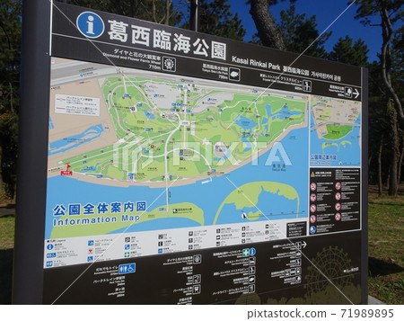 信息 71989895