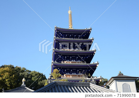 中山寺第五 71990078