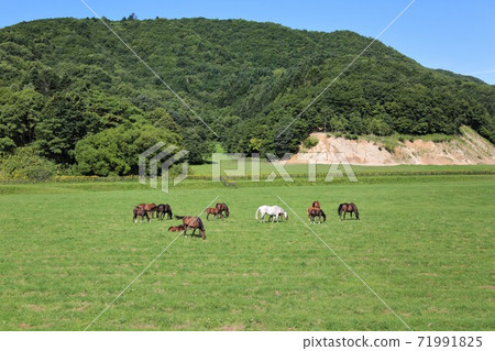 A landscape of a ranch A landscape of a ranch 71991825