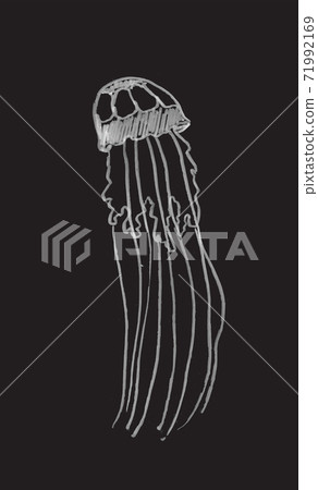 Jellifish, hand drawn illustration Jellifish, hand drawn illustration 71992169